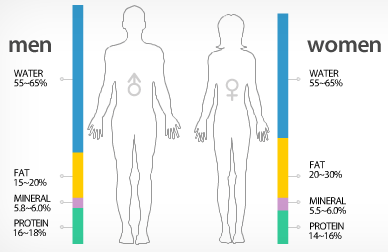 Bioelectrical Impedance Analysis, Body Composition Analysis Las Vegas