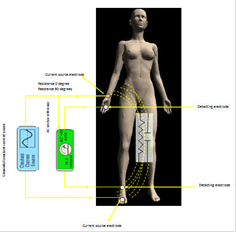 Bioelectrical Impedance Analysis (BIA)